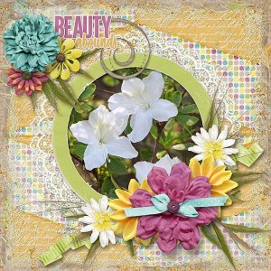 Beauty Abounds