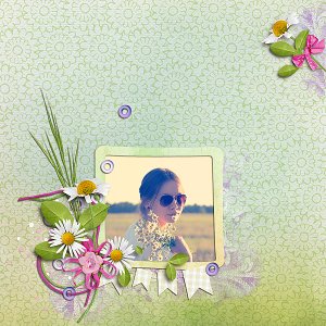 Spring Daisies