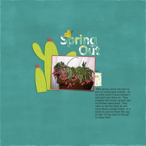 Spring Out Cactus