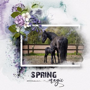 New Life