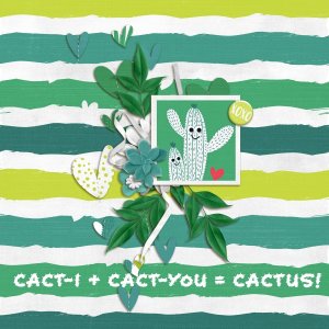 Cact-US