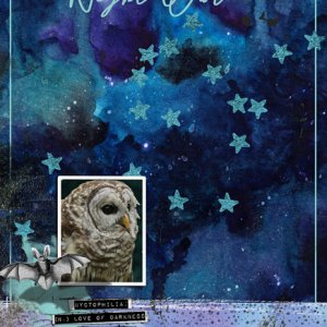 NIGHT OWL