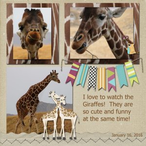 Giraffes Immunity Challenge 4