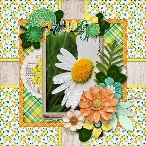 Spring