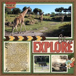 Safari