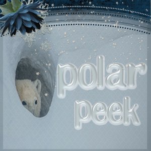 POLAR PEEK