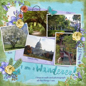A Wanderer