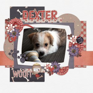 Immunity - Week 4