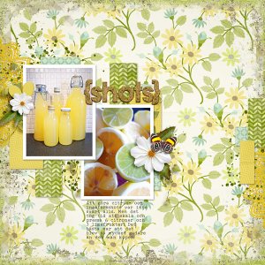 Citrus and ginger shots