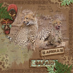 Kruger Park