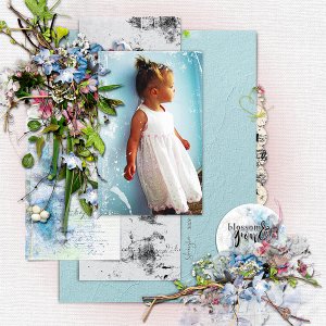 BLOSSOM AND GROW