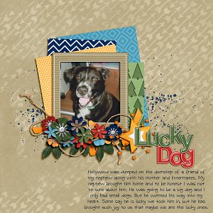 Lucky Dog