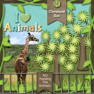 I love Animals
