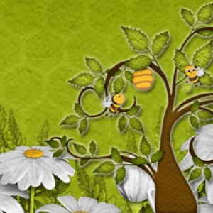 Daisies!  Spring!!