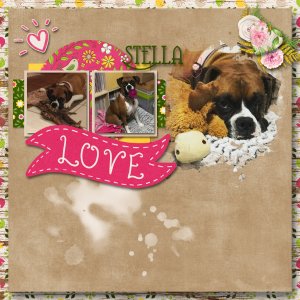 Love Stella Immunity