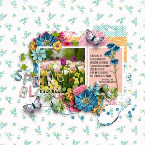 Spring Bloom