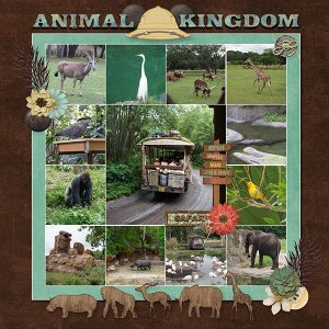 Animal Kingdom