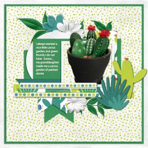 Personal Cactus Garden