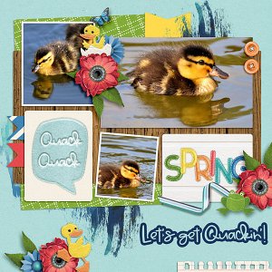 Quack