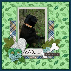 Sadie