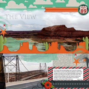The View