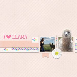 Llama