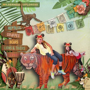 Wilderness Explorers