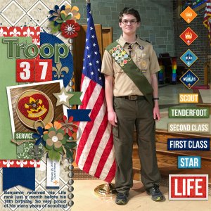 Life Scout