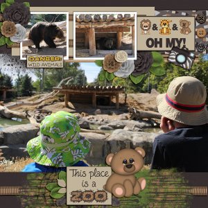 Bears at the Zoo