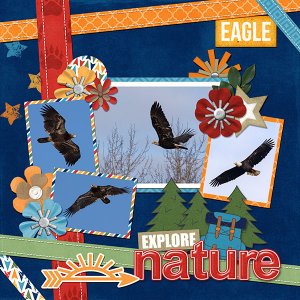 Eagles