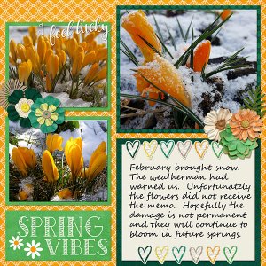 Spring Vibes