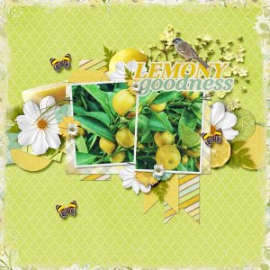 Lemony Goodness