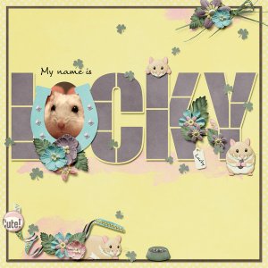 My name is Lucky!