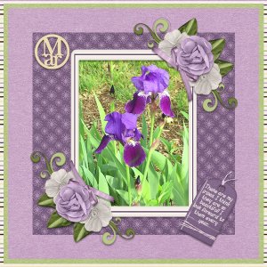 March Irises