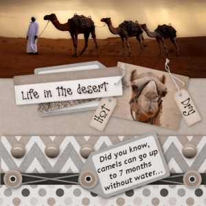 Inspiration Challenge March2019
