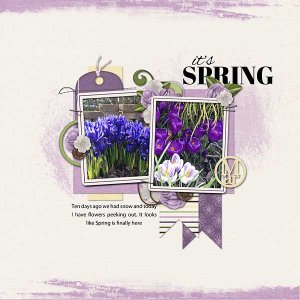 Spring-Flowers_web1
