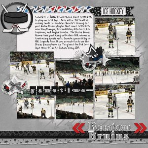 Boston Bruins