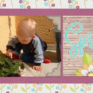 spring and strawberries