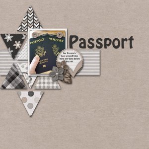 Passport