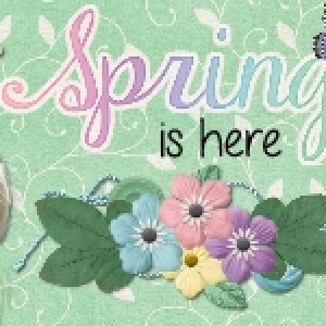 Spring is here FB header