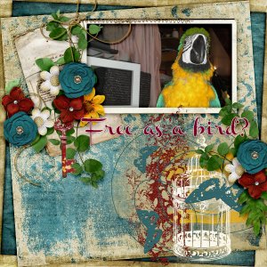 Free-as-a-bird2