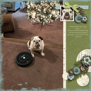 Hoover vs. Roomba