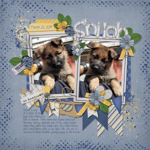 Shiloh