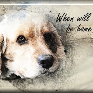 ATC 2019-039 When Will They Be Home?