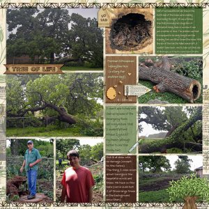 GSMixItUpCh319-TreeGone41916