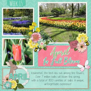 Keukenhof L - #2019 april