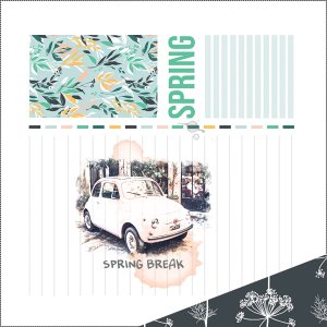 spring break