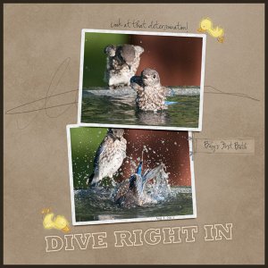 Template Challenge 2 Bluebird baby bath