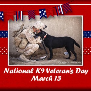 ATC 2019-041 National K9 Veteran
