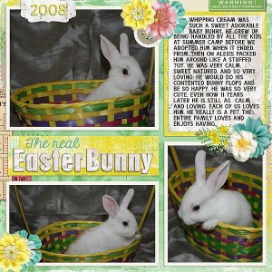 The Real Easter Bunny